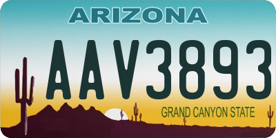 AZ license plate AAV3893