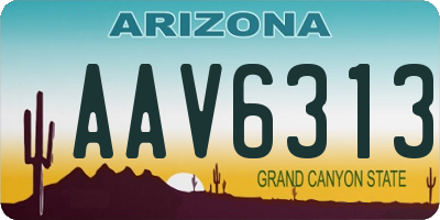 AZ license plate AAV6313
