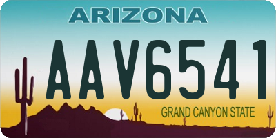 AZ license plate AAV6541