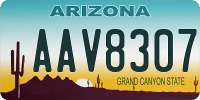 AZ license plate AAV8307