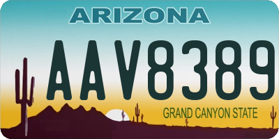 AZ license plate AAV8389