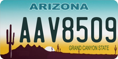 AZ license plate AAV8509