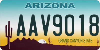 AZ license plate AAV9018