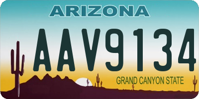 AZ license plate AAV9134