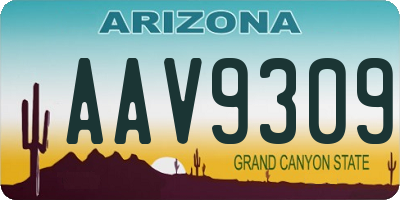 AZ license plate AAV9309