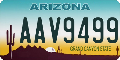 AZ license plate AAV9499