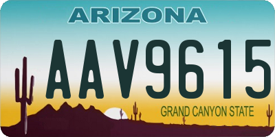 AZ license plate AAV9615