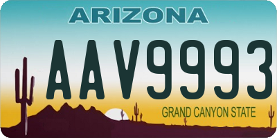 AZ license plate AAV9993