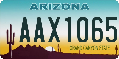 AZ license plate AAX1065