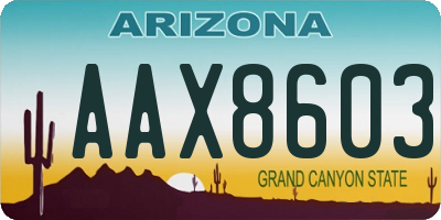 AZ license plate AAX8603