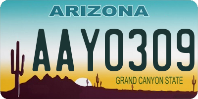 AZ license plate AAY0309