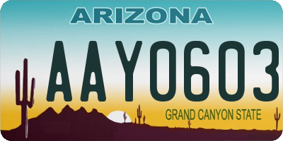 AZ license plate AAY0603