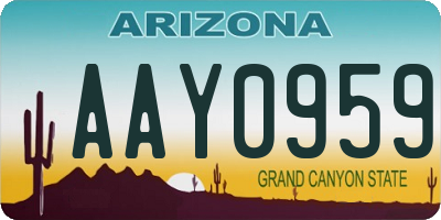 AZ license plate AAY0959
