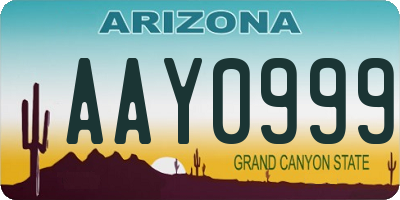 AZ license plate AAY0999
