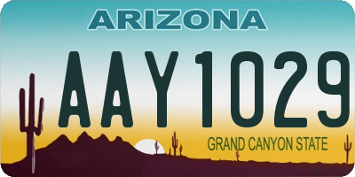 AZ license plate AAY1029