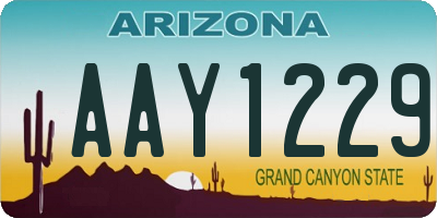 AZ license plate AAY1229