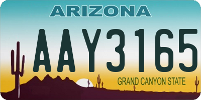 AZ license plate AAY3165