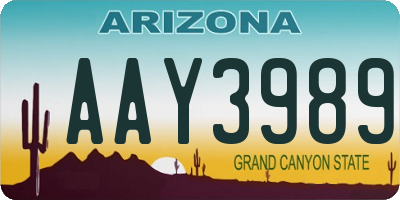 AZ license plate AAY3989