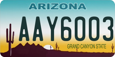 AZ license plate AAY6003