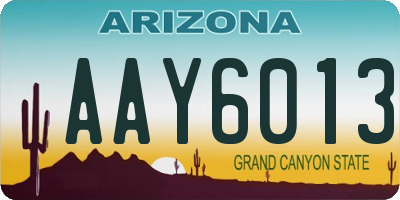AZ license plate AAY6013