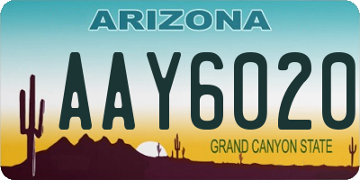 AZ license plate AAY6020
