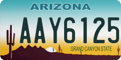 AZ license plate AAY6125