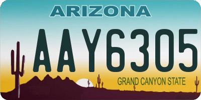 AZ license plate AAY6305