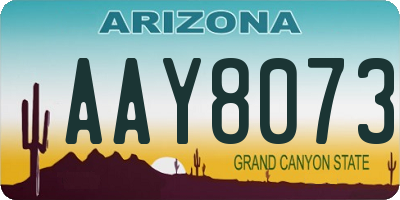 AZ license plate AAY8073