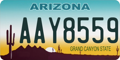 AZ license plate AAY8559