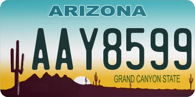 AZ license plate AAY8599