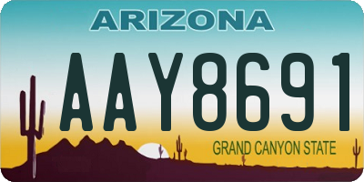 AZ license plate AAY8691