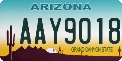 AZ license plate AAY9018
