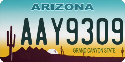 AZ license plate AAY9309