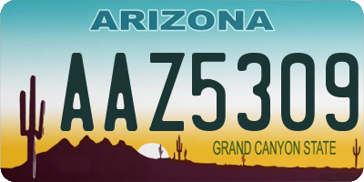 AZ license plate AAZ5309