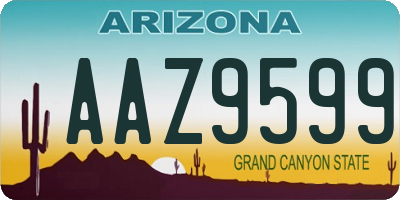 AZ license plate AAZ9599