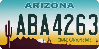 AZ license plate ABA4263