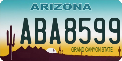 AZ license plate ABA8599