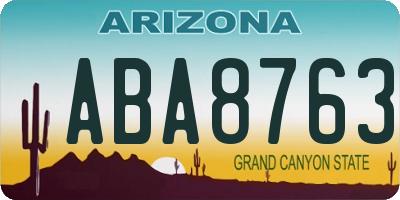 AZ license plate ABA8763