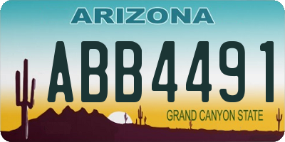 AZ license plate ABB4491