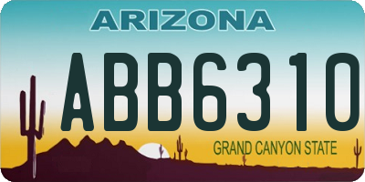 AZ license plate ABB6310