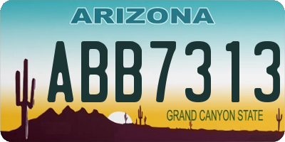 AZ license plate ABB7313