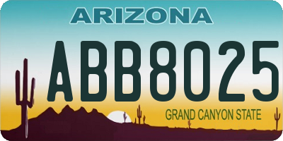 AZ license plate ABB8025