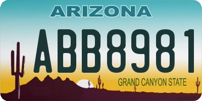 AZ license plate ABB8981