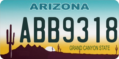 AZ license plate ABB9318