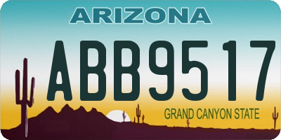 AZ license plate ABB9517