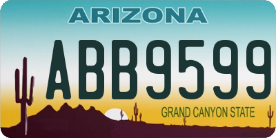 AZ license plate ABB9599