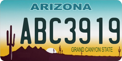 AZ license plate ABC3919