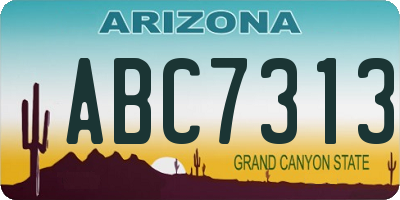 AZ license plate ABC7313