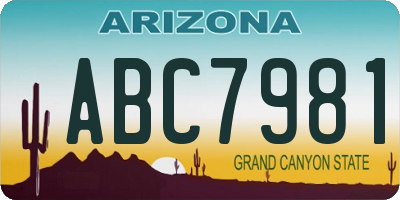 AZ license plate ABC7981