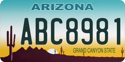 AZ license plate ABC8981